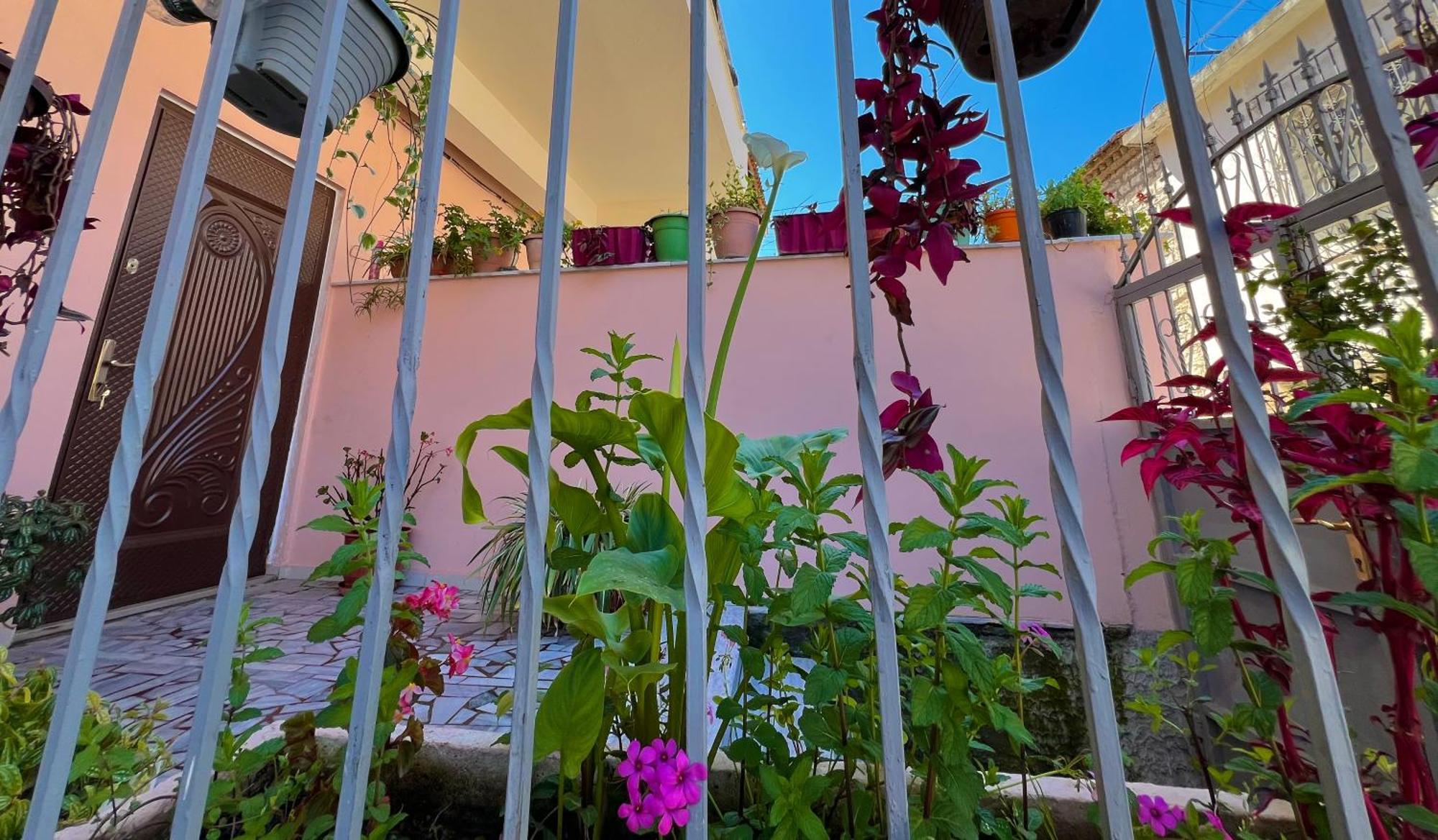 Ensalv - - - Penthouse Berat